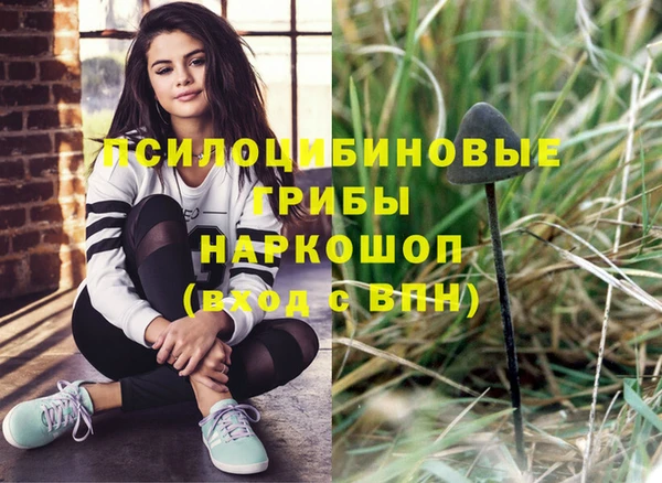 твердый Алзамай